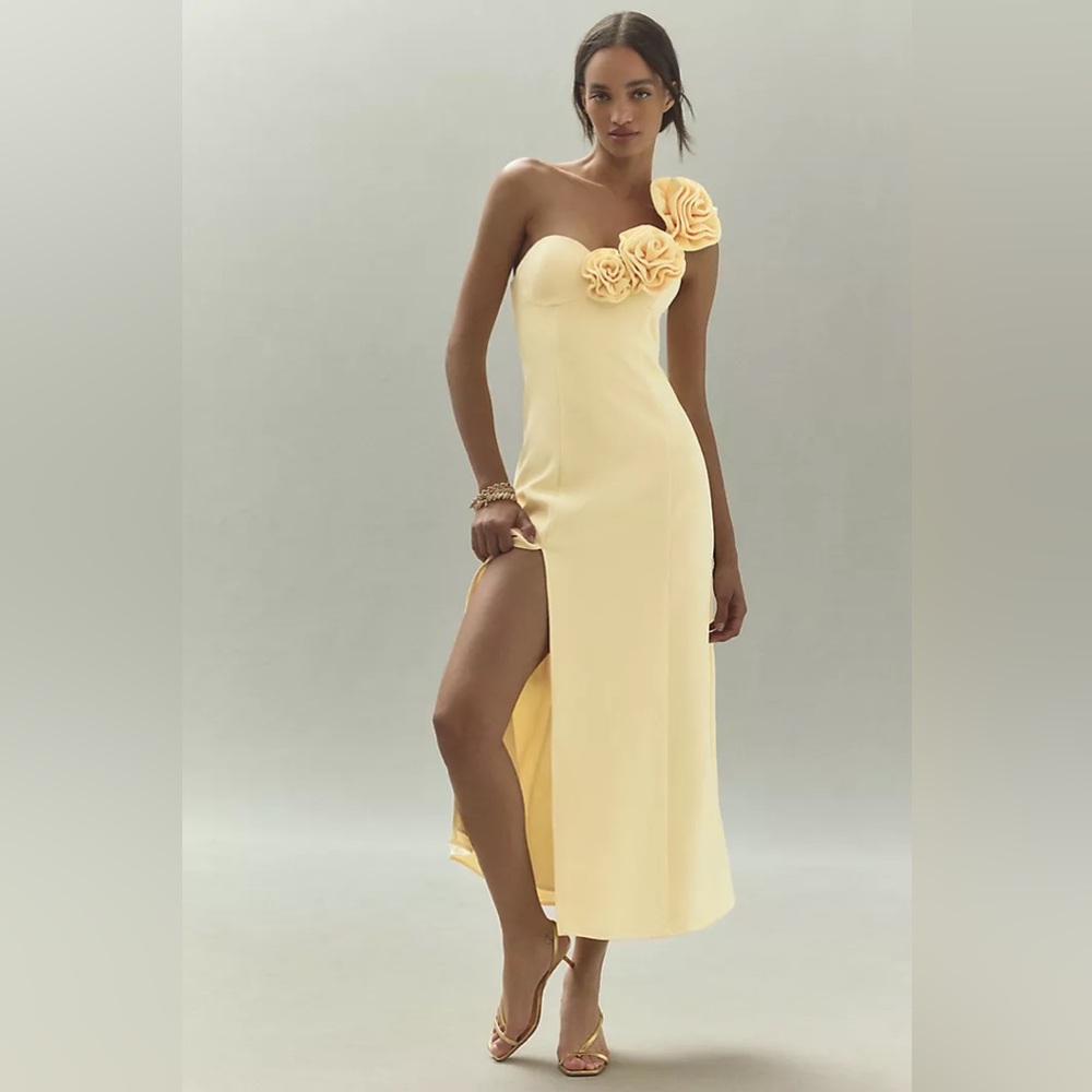 Anthropologie | The Wolf Gang Flores One-Shoulder Rose Midi Dress (Size M)
